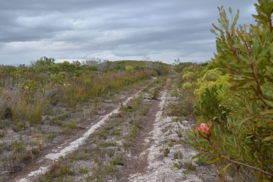 0 Bedroom Property for Sale in Gouritsmond Western Cape